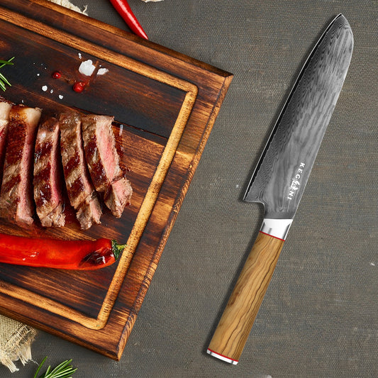 Edward 8-inch Professional Japanese Chef's Knife - 67-layer AUS-10 Damascus Steel